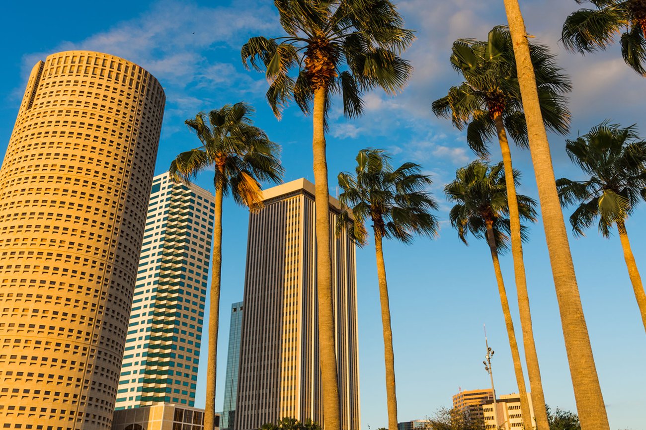 View of palm trees and buildings in downtown Tampa on a Florida Flight + Hotel JetBlue Vacations package