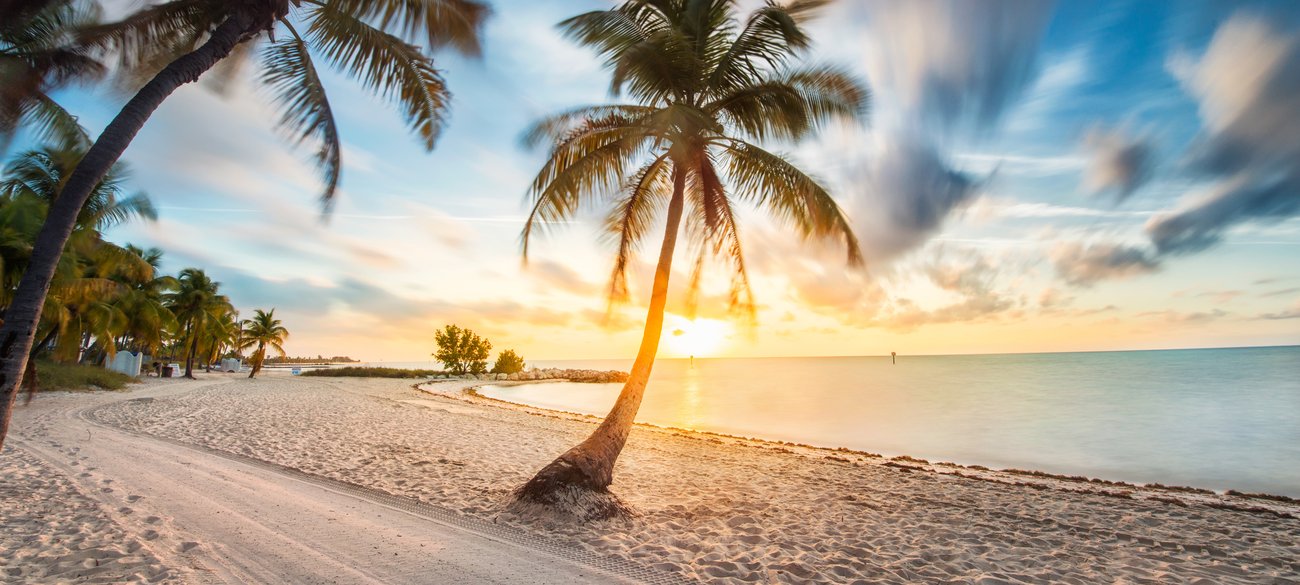 View of palm trees on beach at sunset on a Flight + Hotel all inclusive Florida JetBlue Vacations package
