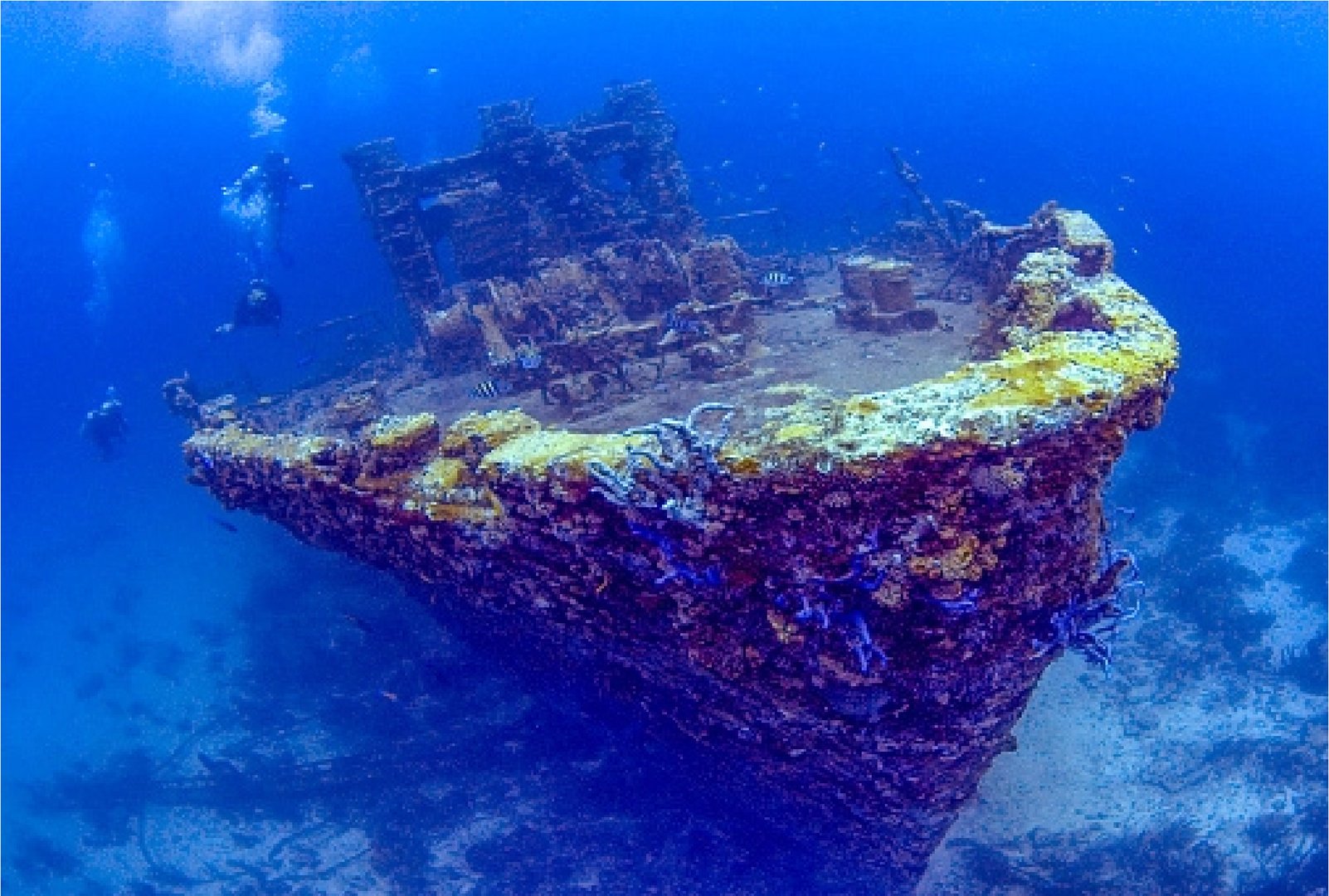 People SCUBA diving Antilla Shipwreck in Aruba on a JetBlue Vacations Caribbean Flight + Hotel All Inclusive Package