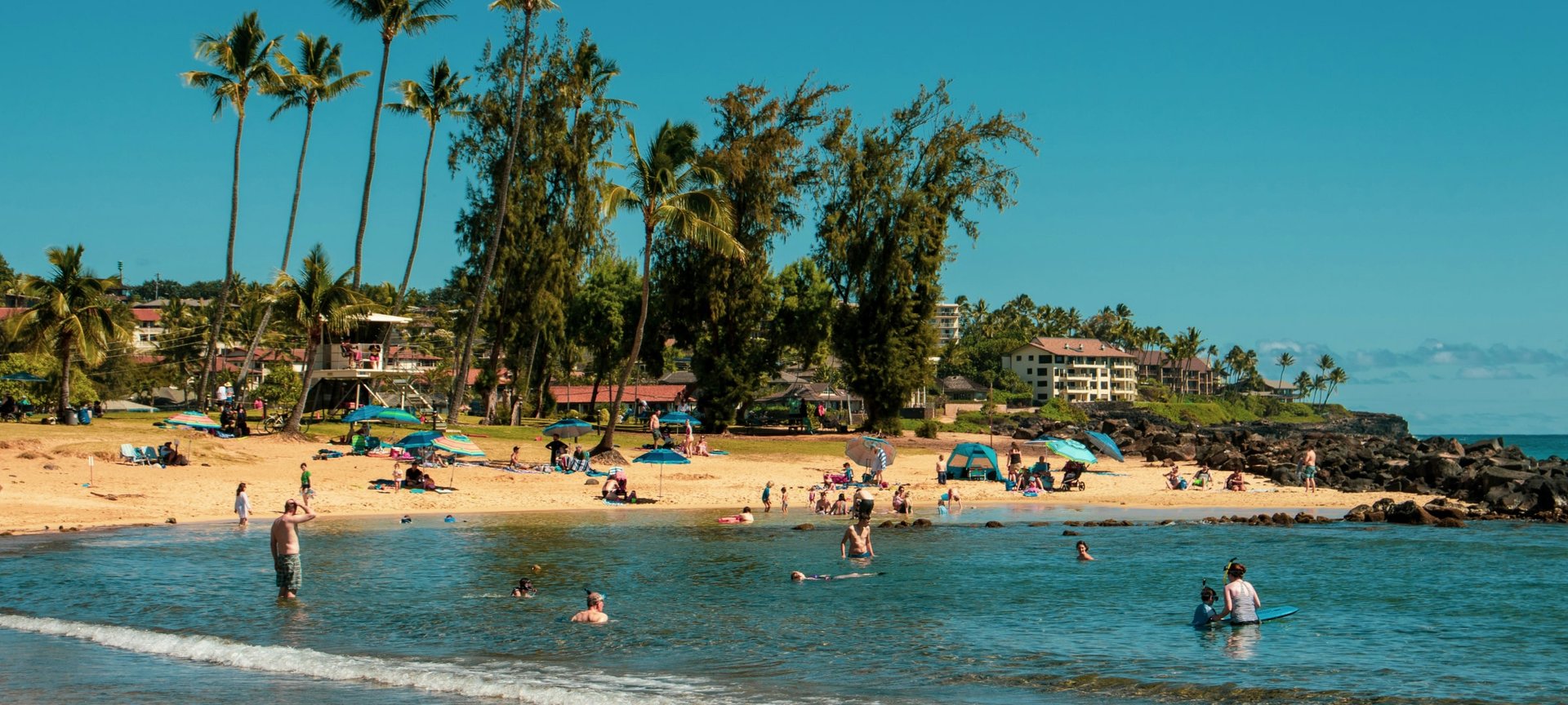 Families and beachgoers enjoy a sunny day at a sandy beach in Kauai, Hawaii, lined with tall palm trees.