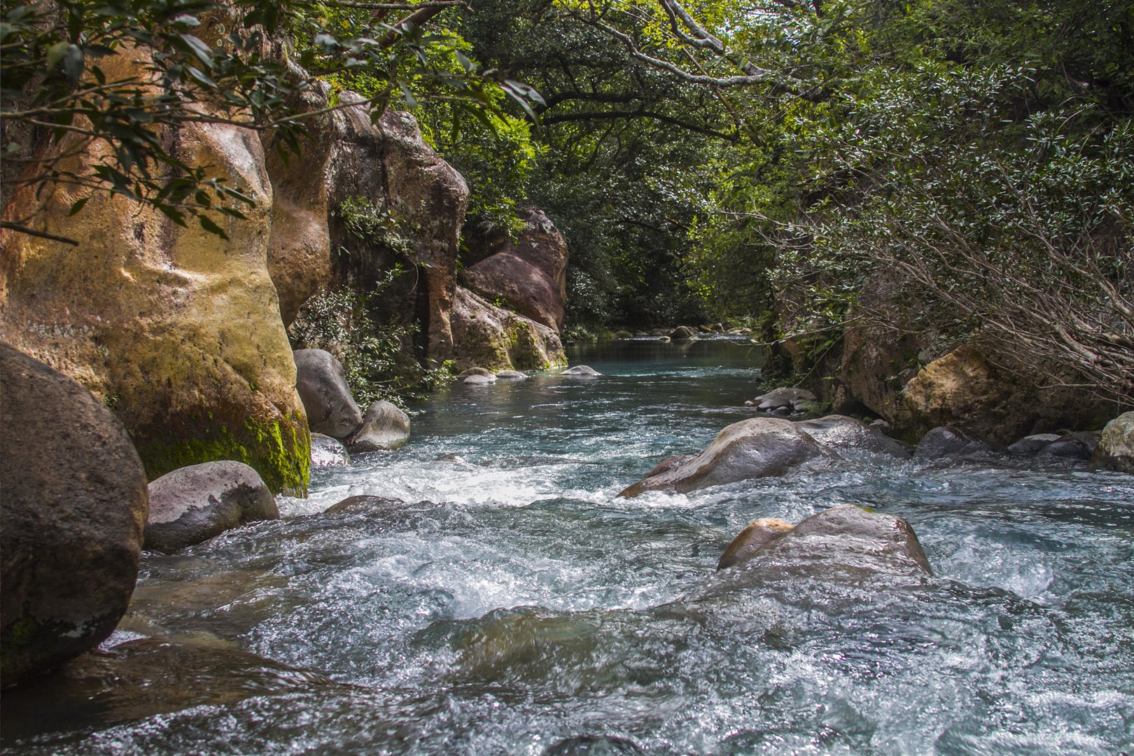 View of rapids at Rincon de la Vieja National Park on a Liberia Flight + Hotel JetBlue Vacations all inclusive package