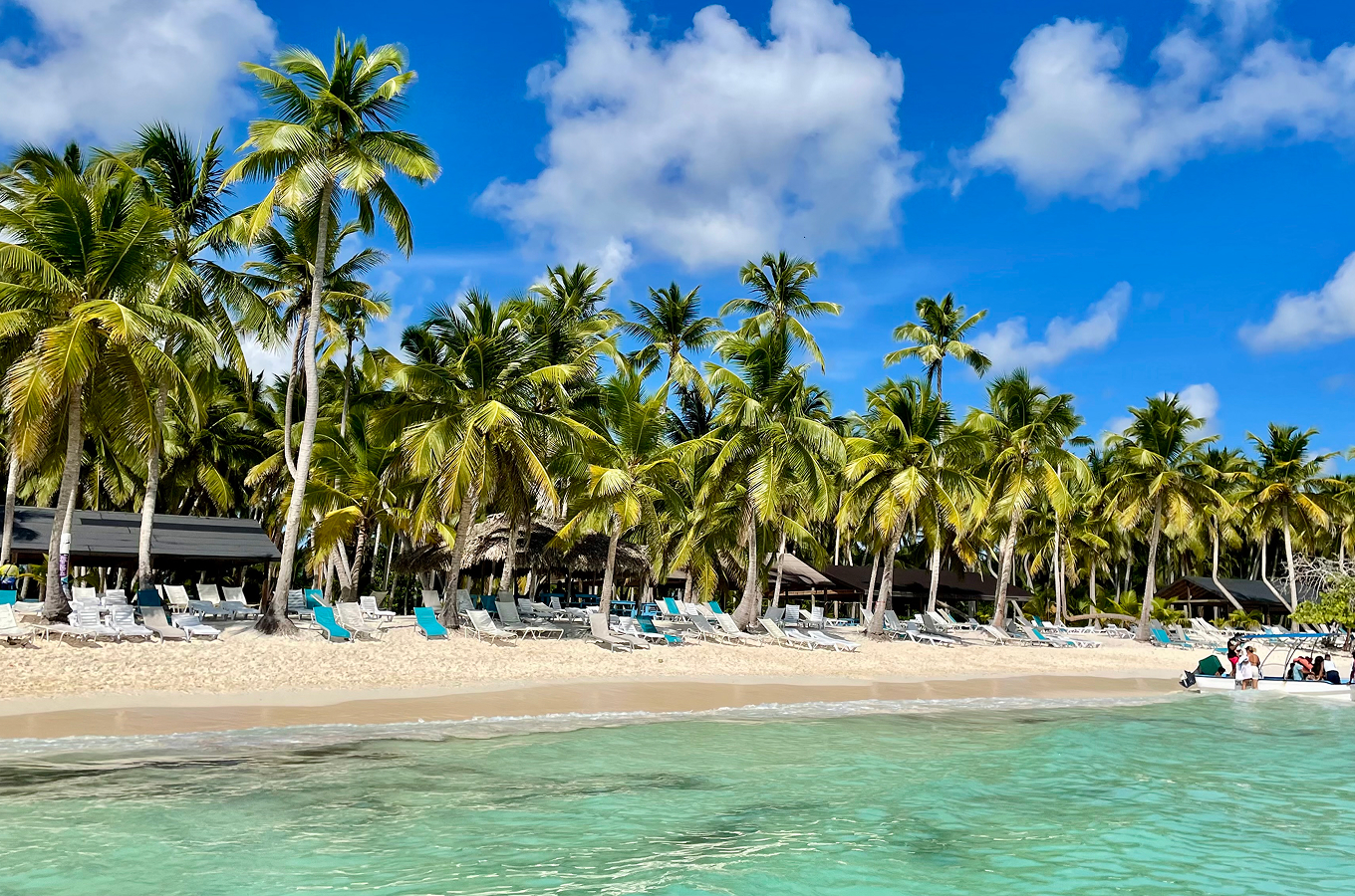Palm-lined Bávaro Beach in Punta Cana with rows of lounge chairs under swaying palms along the turquoise Caribbean shoreline