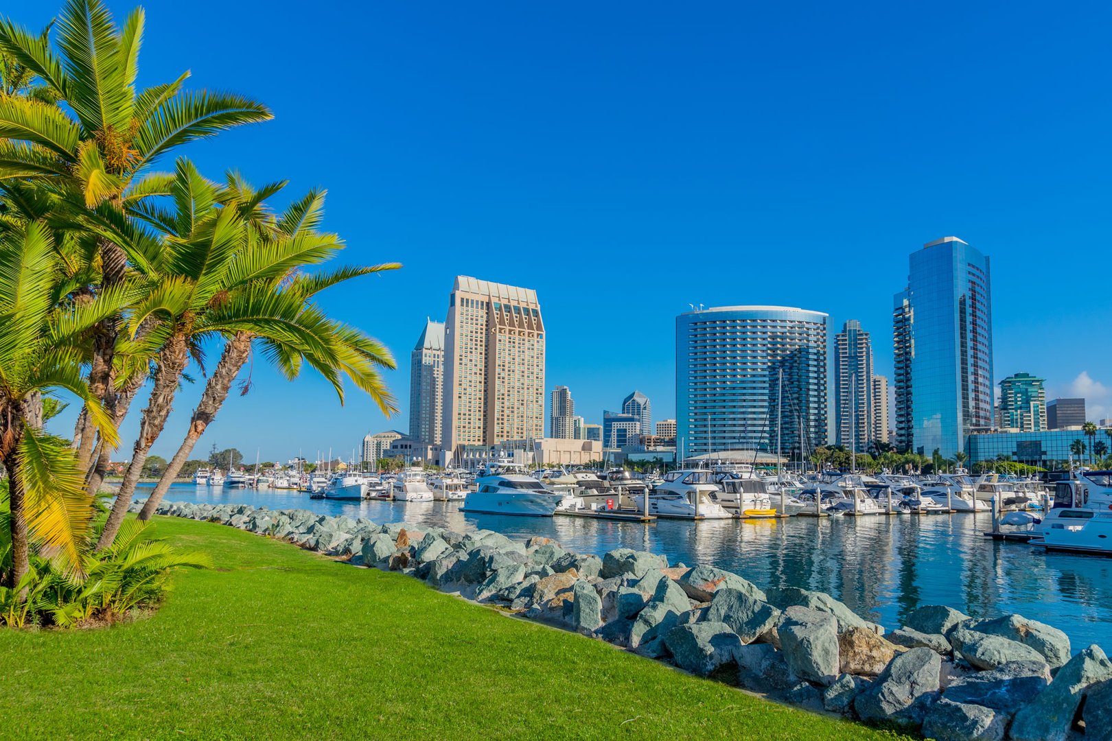 View of palm trees and San Diego across harbor on a California Flight + Hotel JetBlue Vacations package