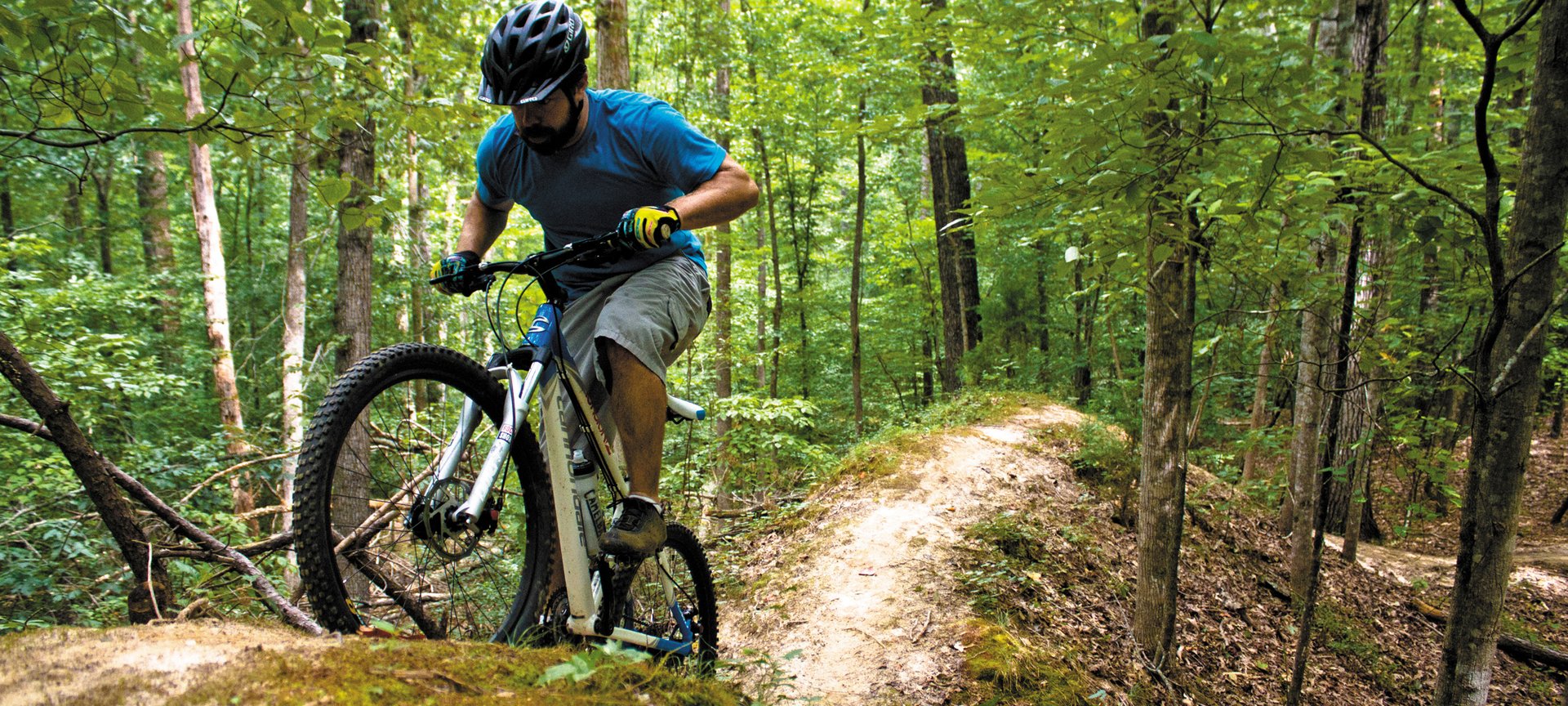 View of man mountain biking in forest on a Richmond Flight + Hotel all inclusive vacation package