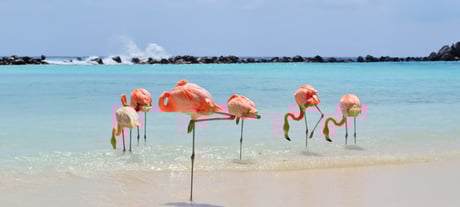 Aruba