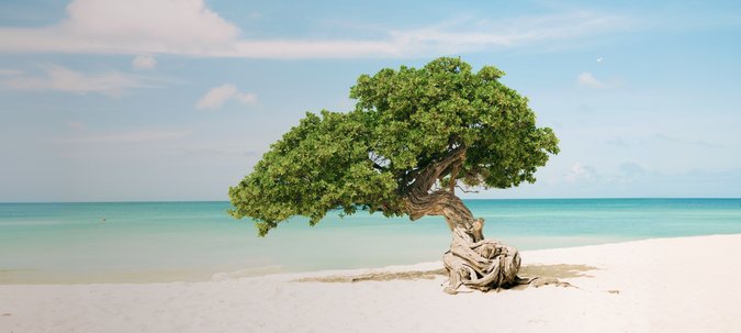 Aruba