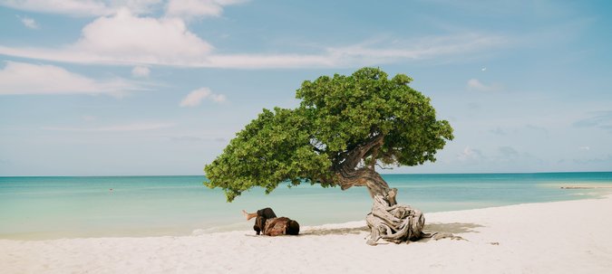 Aruba