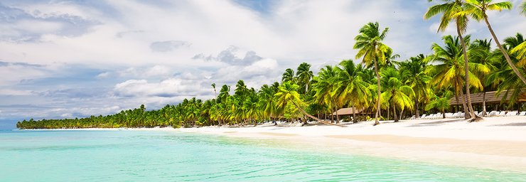 Panoramic Punta Cana beachfront with white-sand shore, swaying palm trees and clear turquoise Caribbean waters beneath a partly cloudy sky